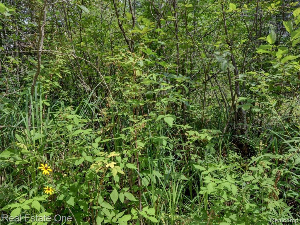 0 South Morrison Road West Branch, MI 48661 - Photo 13 of 38