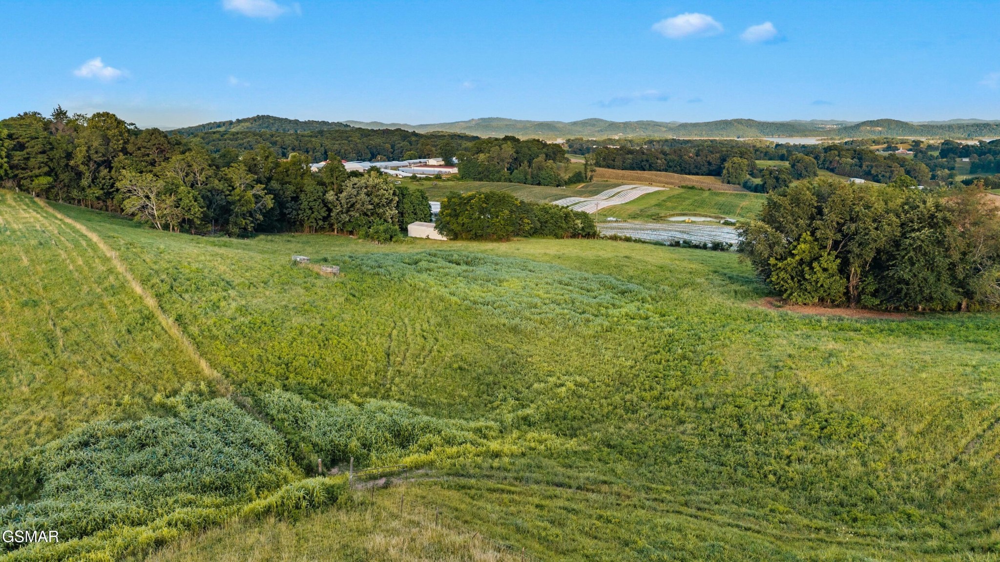 45 Perrin Hill Road Rutledge, TN 37861 - Photo 5 of 10 Gallery Image 5