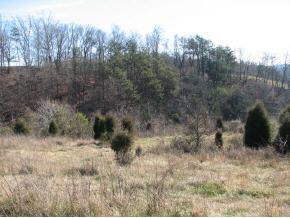 0 Nelse Roberts Road Chuckey, TN 37641 - Photo 3 of 6 Photo 3