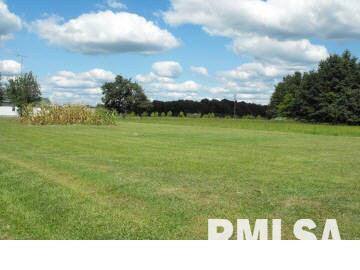 7174 Malone Road Alma, IL 62807 - Photo 2 of 7