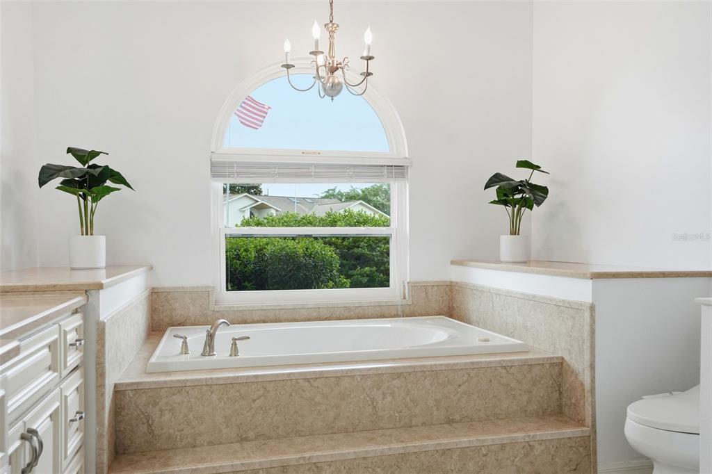 14228 Presteign Lane Spring Hill, FL 34609 - Photo 47 of 89 a bathroom with a bathtub sink and mirror