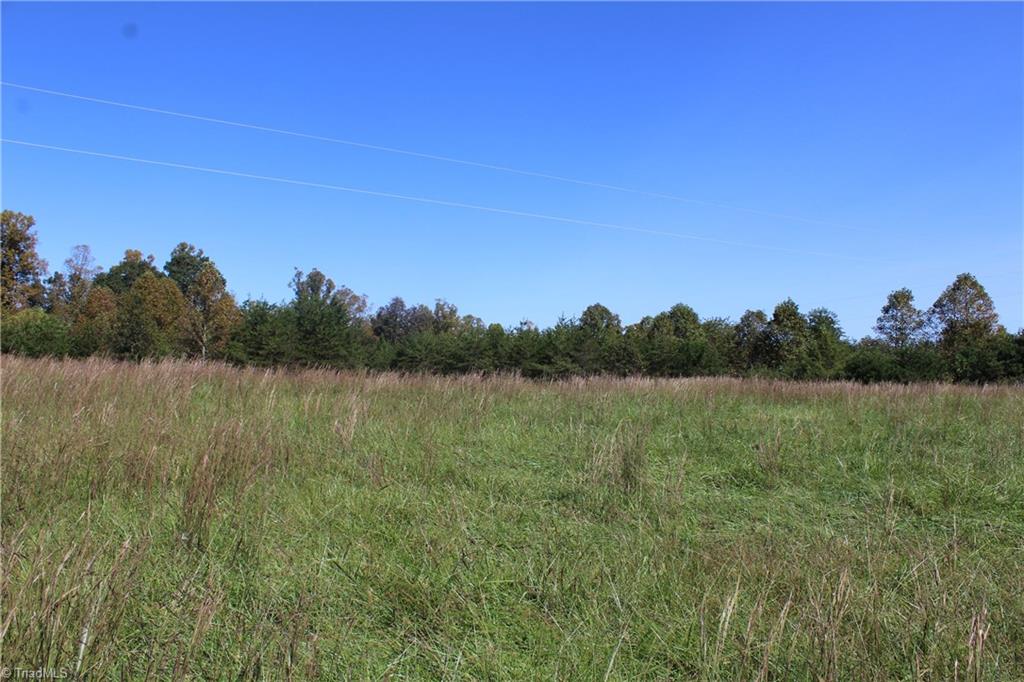 0 Farm Road, Unit 2 87 Pilot Mountain, NC 27041 - Photo 2 of 15 Gallery Image 2