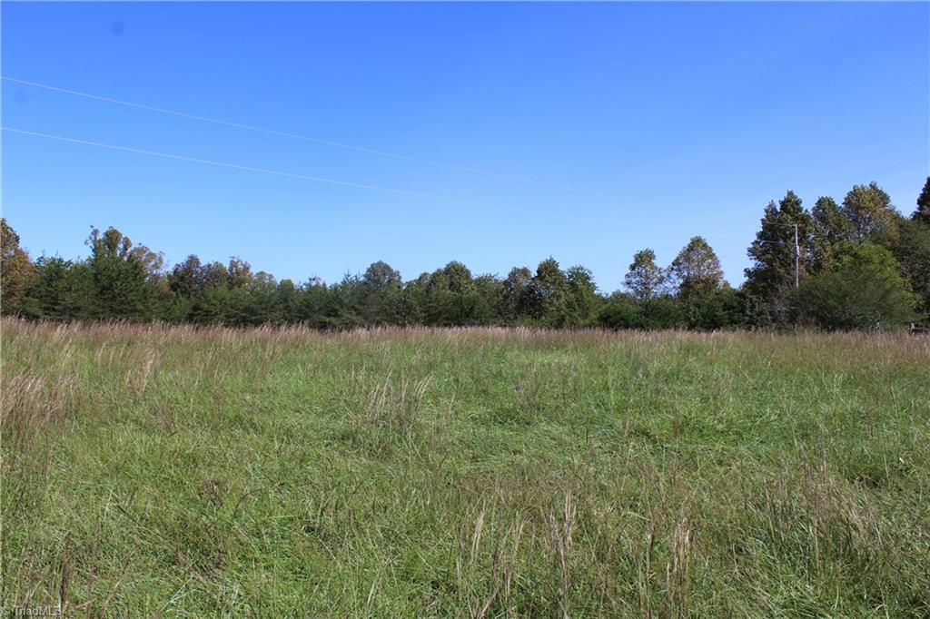 0 Farm Road, Unit 2 87 Pilot Mountain, NC 27041 - Photo 4 of 15 Gallery Image 4