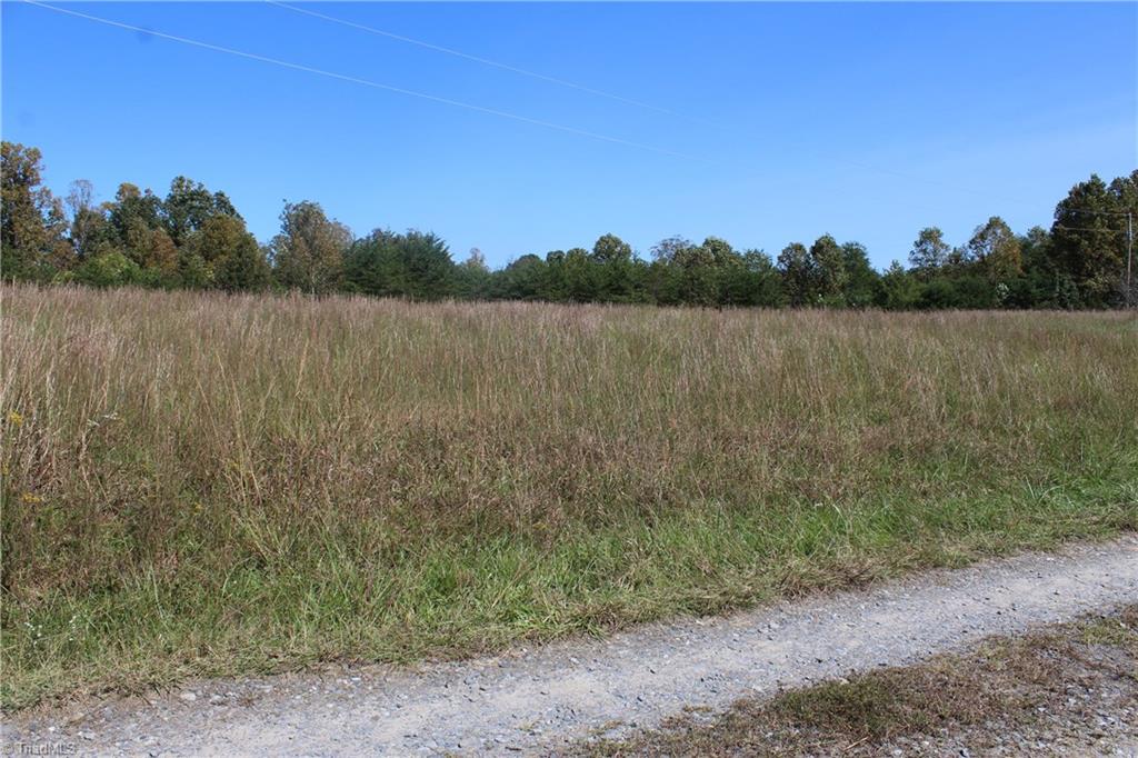 0 Farm Road, Unit 2 87 Pilot Mountain, NC 27041 - Photo 10 of 15 Gallery Image 10
