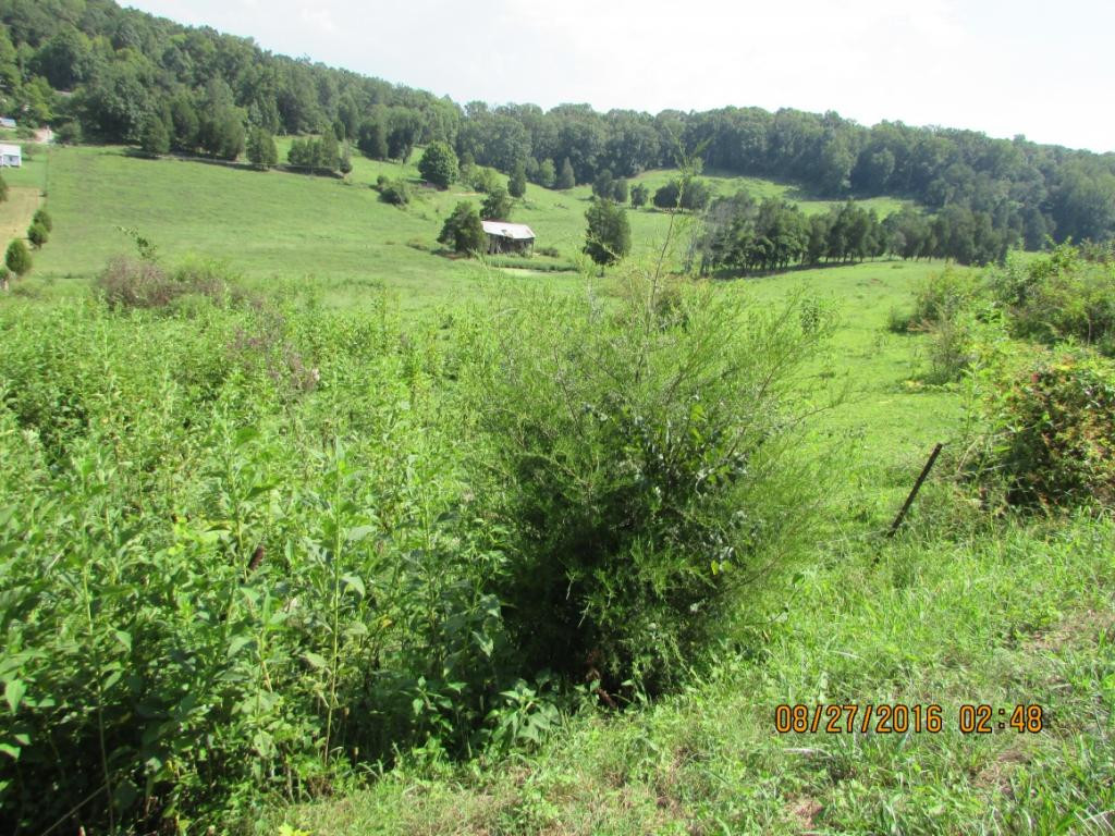 Lot 5 Pinhook Road, Unit 5 Rogersville, TN 37857 - Photo 2 of 4 Photo 2