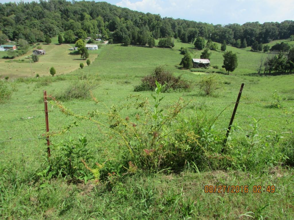 Lot 5 Pinhook Road, Unit 5 Rogersville, TN 37857 - Photo 3 of 4 Photo 3