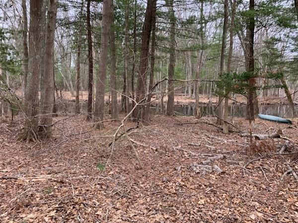 18 Nash Road Acton, MA 01720 - Photo 18 of 24 Gallery Image 18