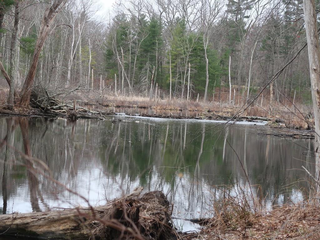18 Nash Road Acton, MA 01720 - Photo 19 of 24 Gallery Image 19