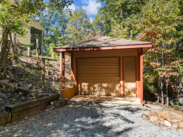 a view of a forest with trees in the background
