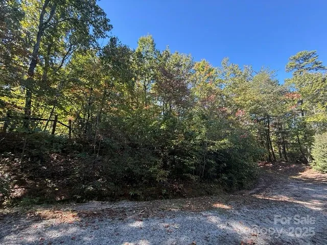 a bathroom with a sink and a shower