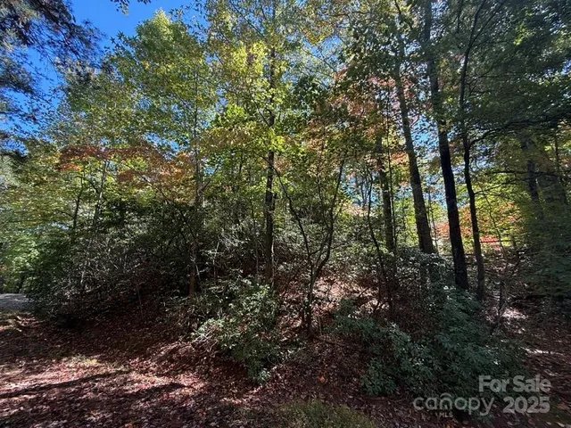 a view of a backyard with wooden fence