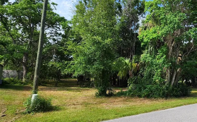 a view of a park with large trees