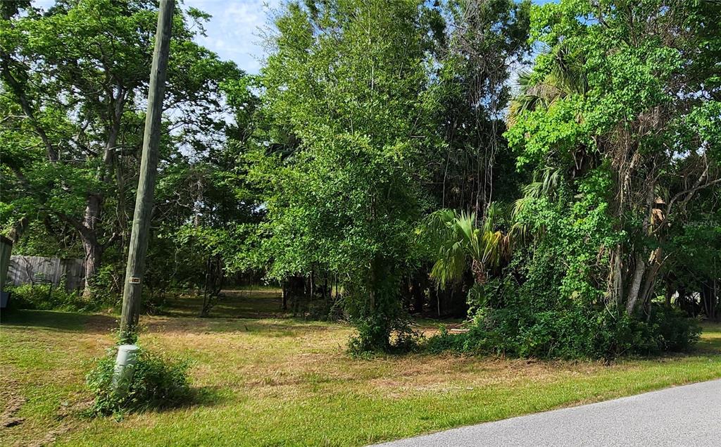 8149 Gulf Way Hudson, FL 34667 - Photo 8 of 12