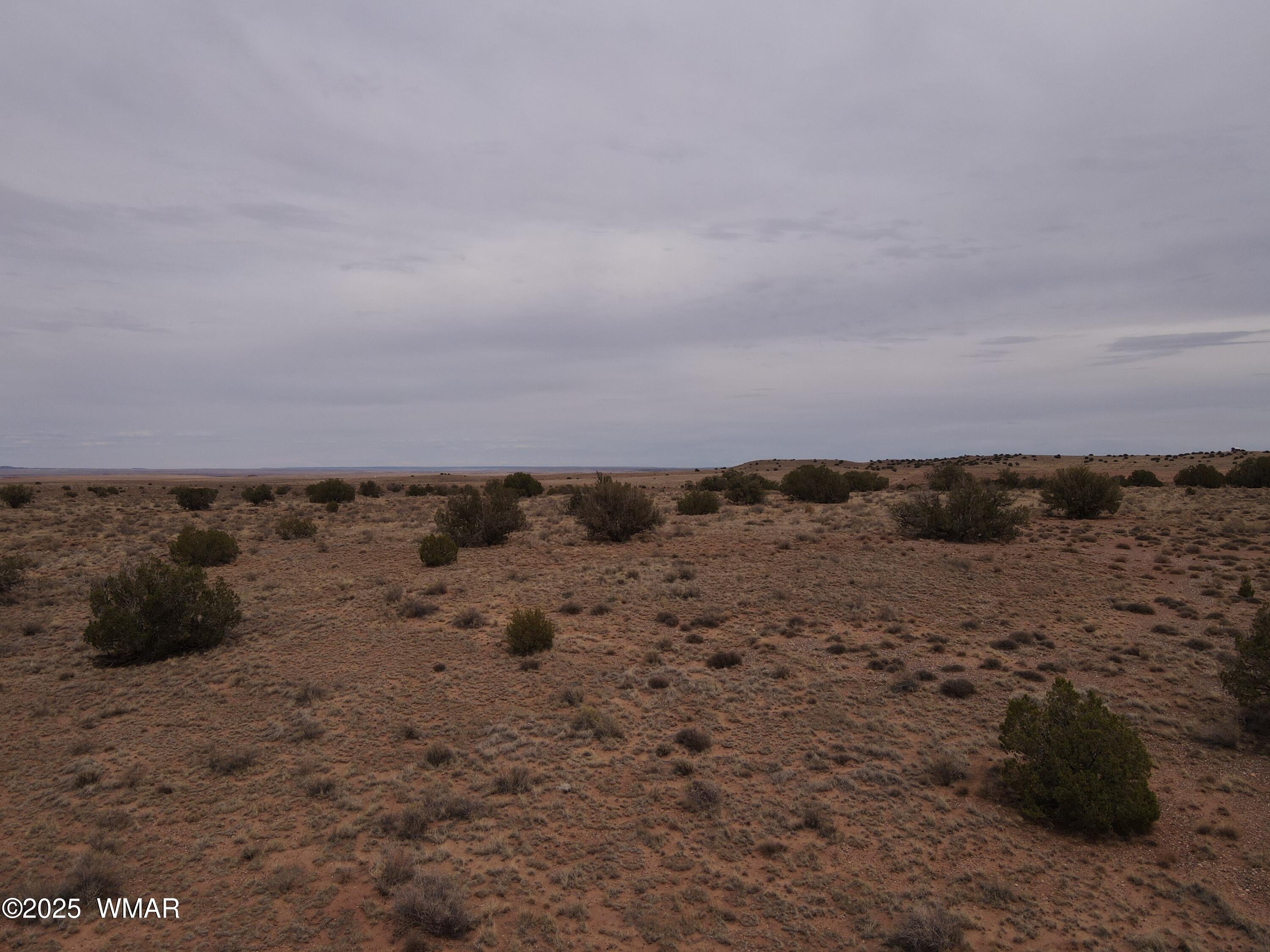 5473 White Antelope Road Snowflake, AZ 85937 - Photo 3 of 15