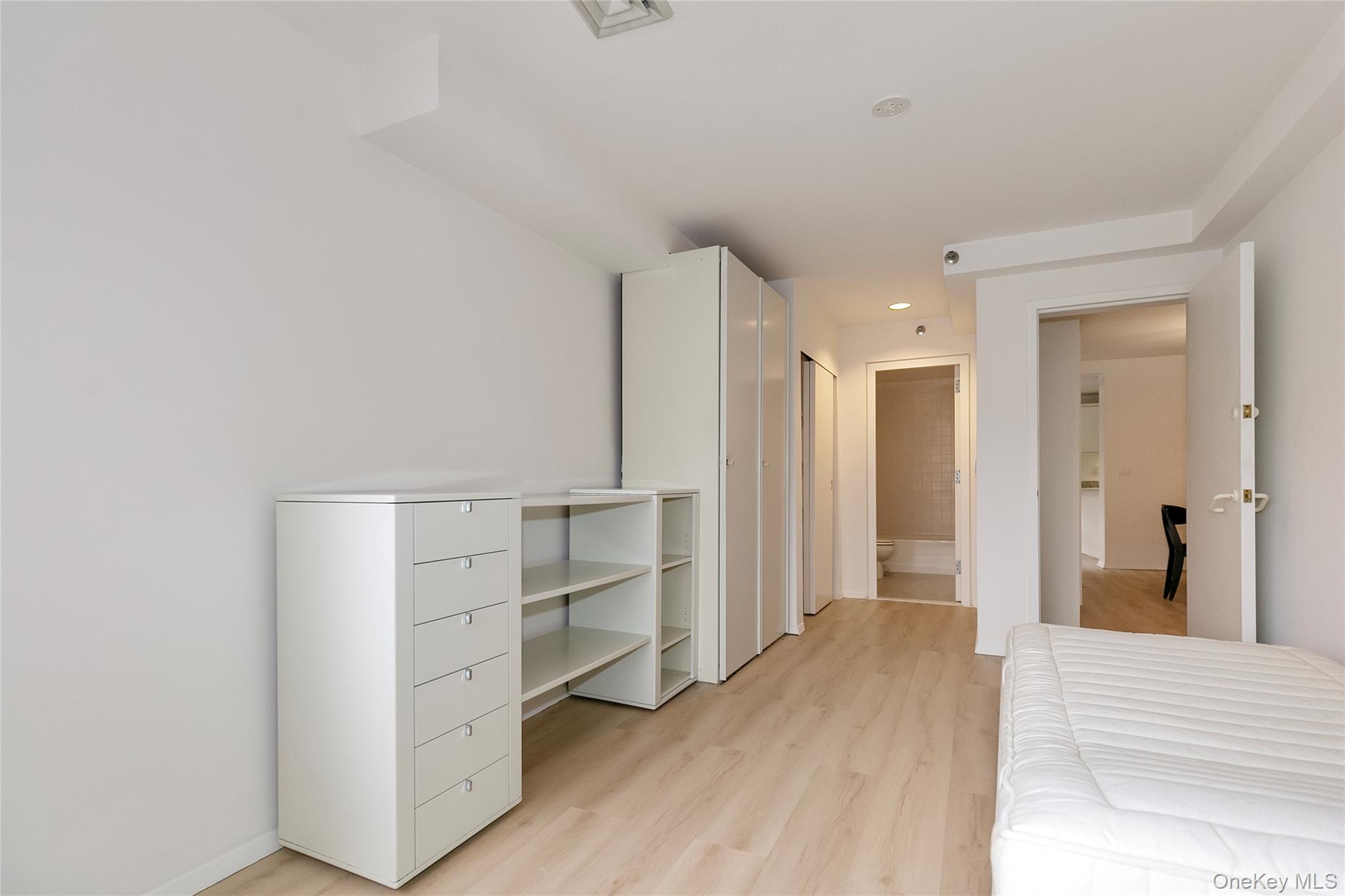 100 Cutter Mill Road, Unit 2C Great Neck, NY 11021 - Photo 27 of 29 a view of walk in closet with empty racks
