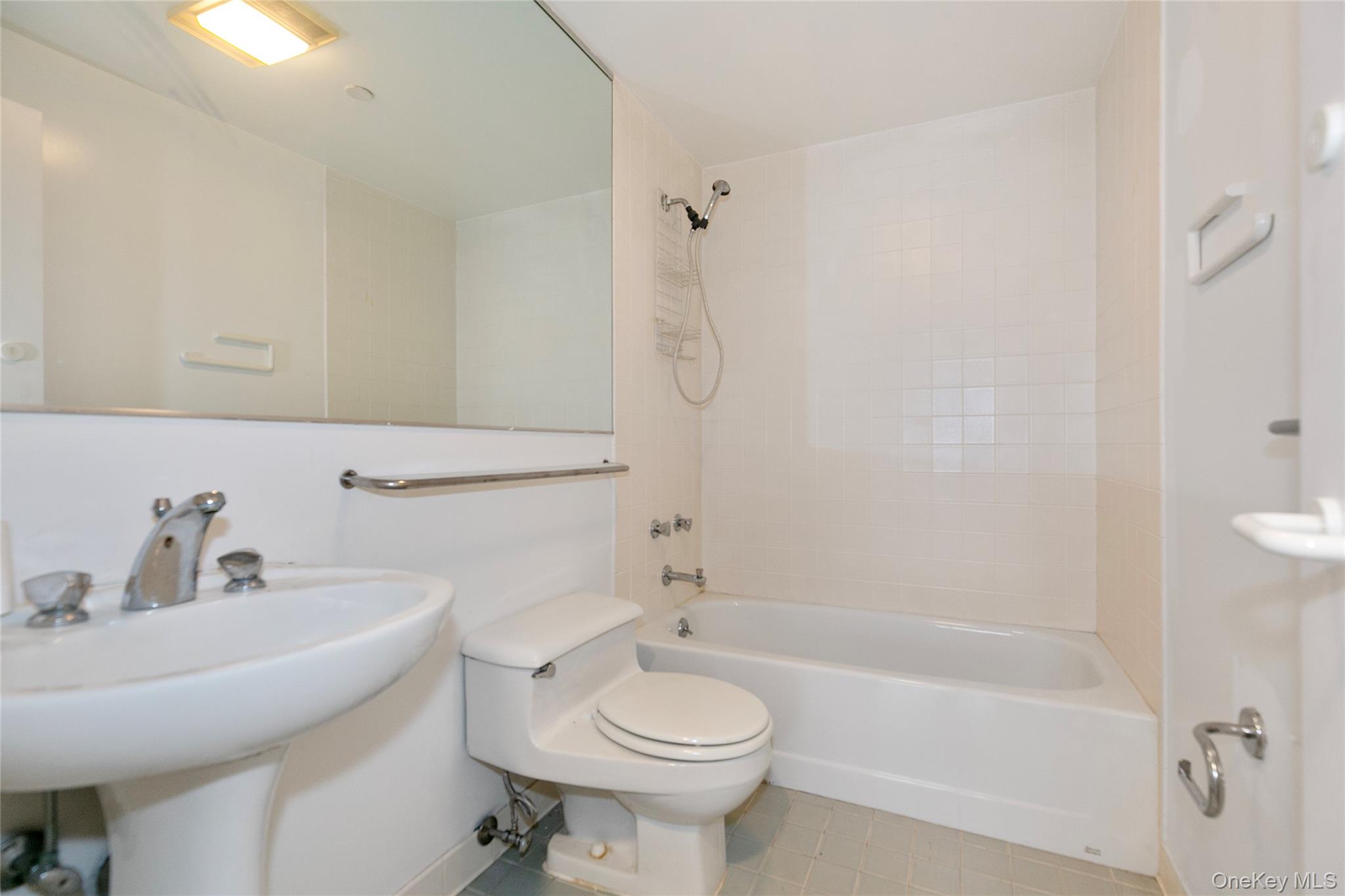 100 Cutter Mill Road, Unit 2C Great Neck, NY 11021 - Photo 28 of 29 a bathroom with a sink a toilet and shower