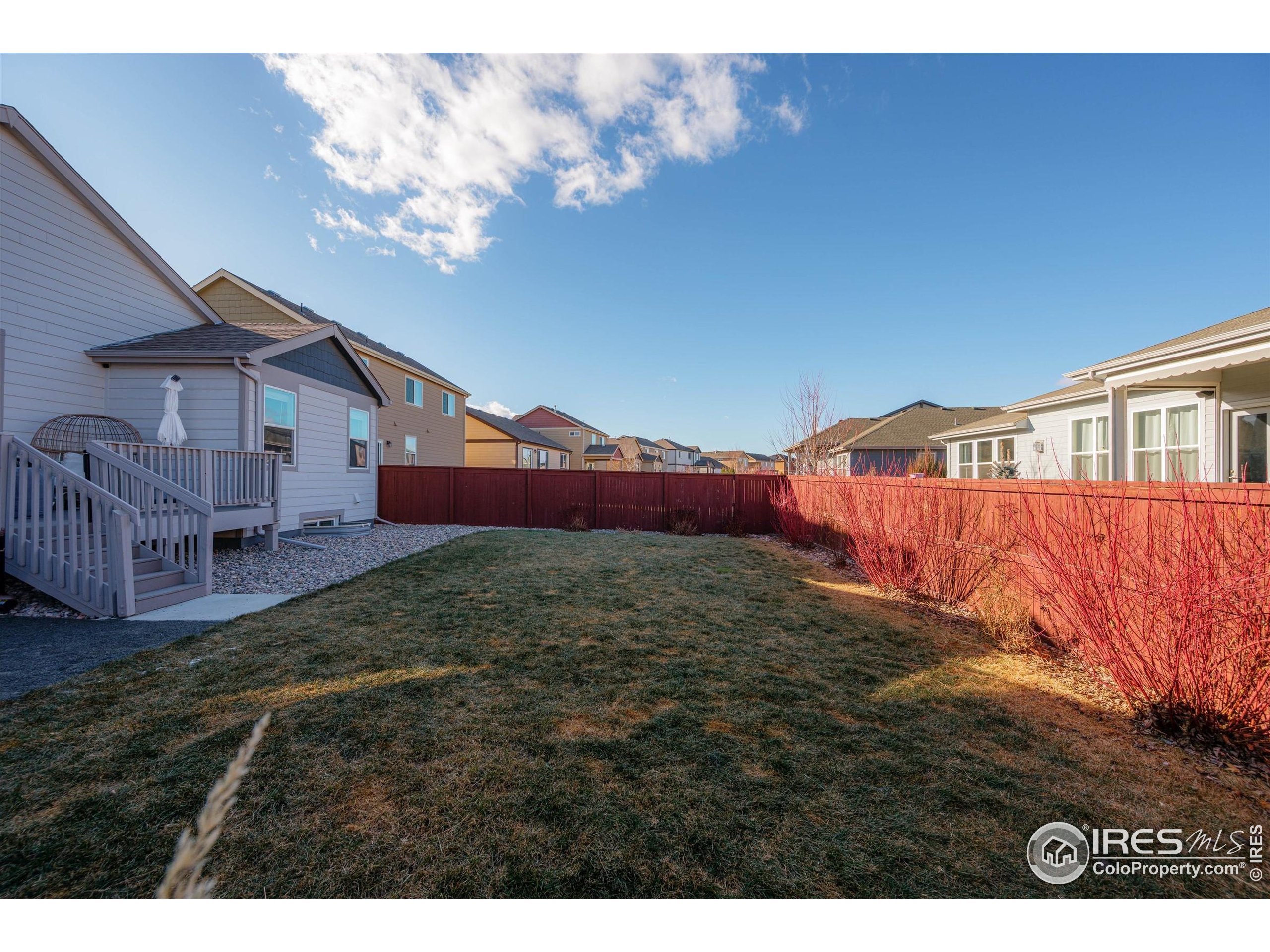 1995 Thundercloud Drive Windsor, CO 80550 - Photo 25 of 36 a view of an house with backyard and deck