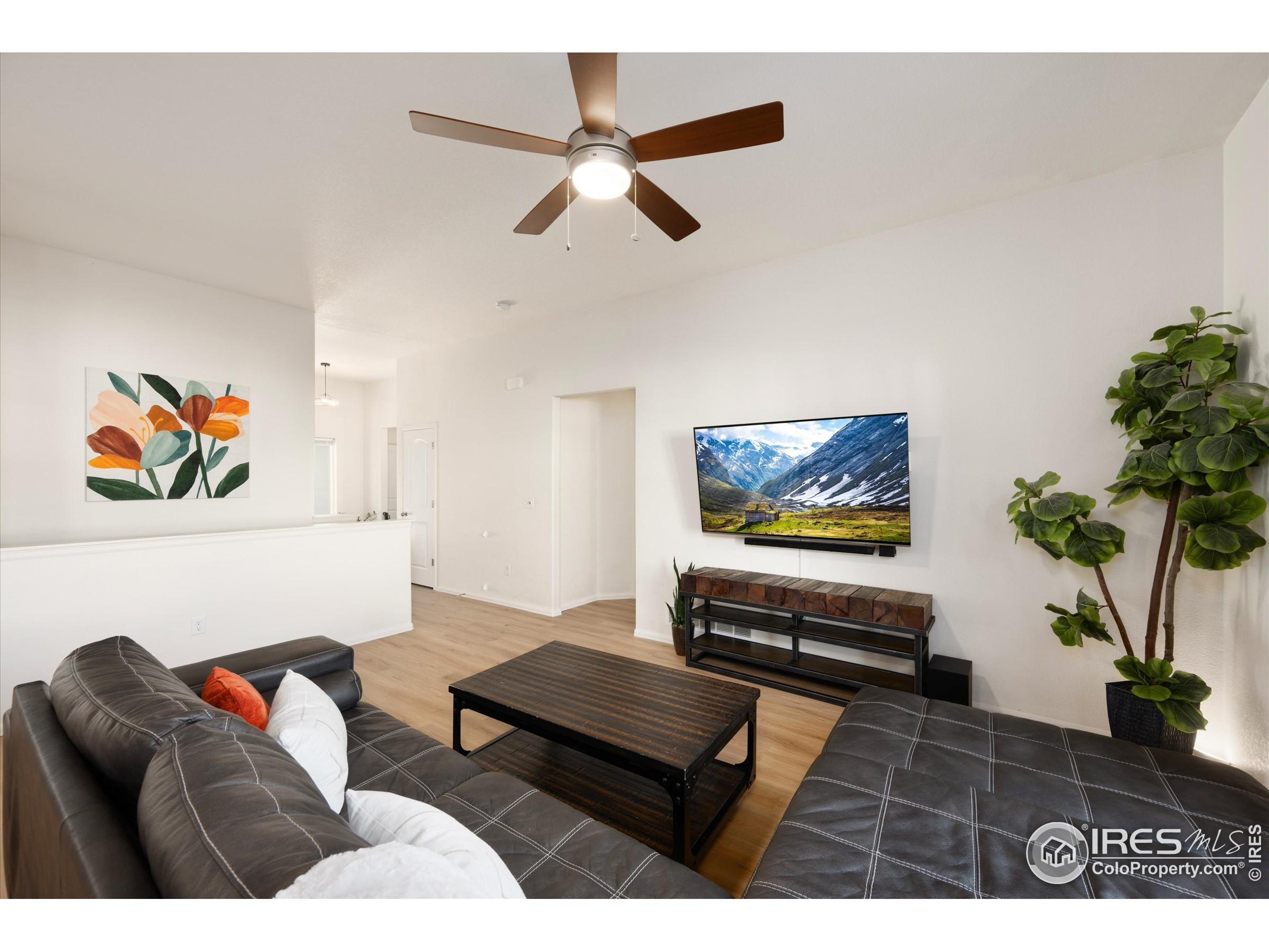 1995 Thundercloud Drive Windsor, CO 80550 - Photo 5 of 36 a living room with furniture and a potted plant