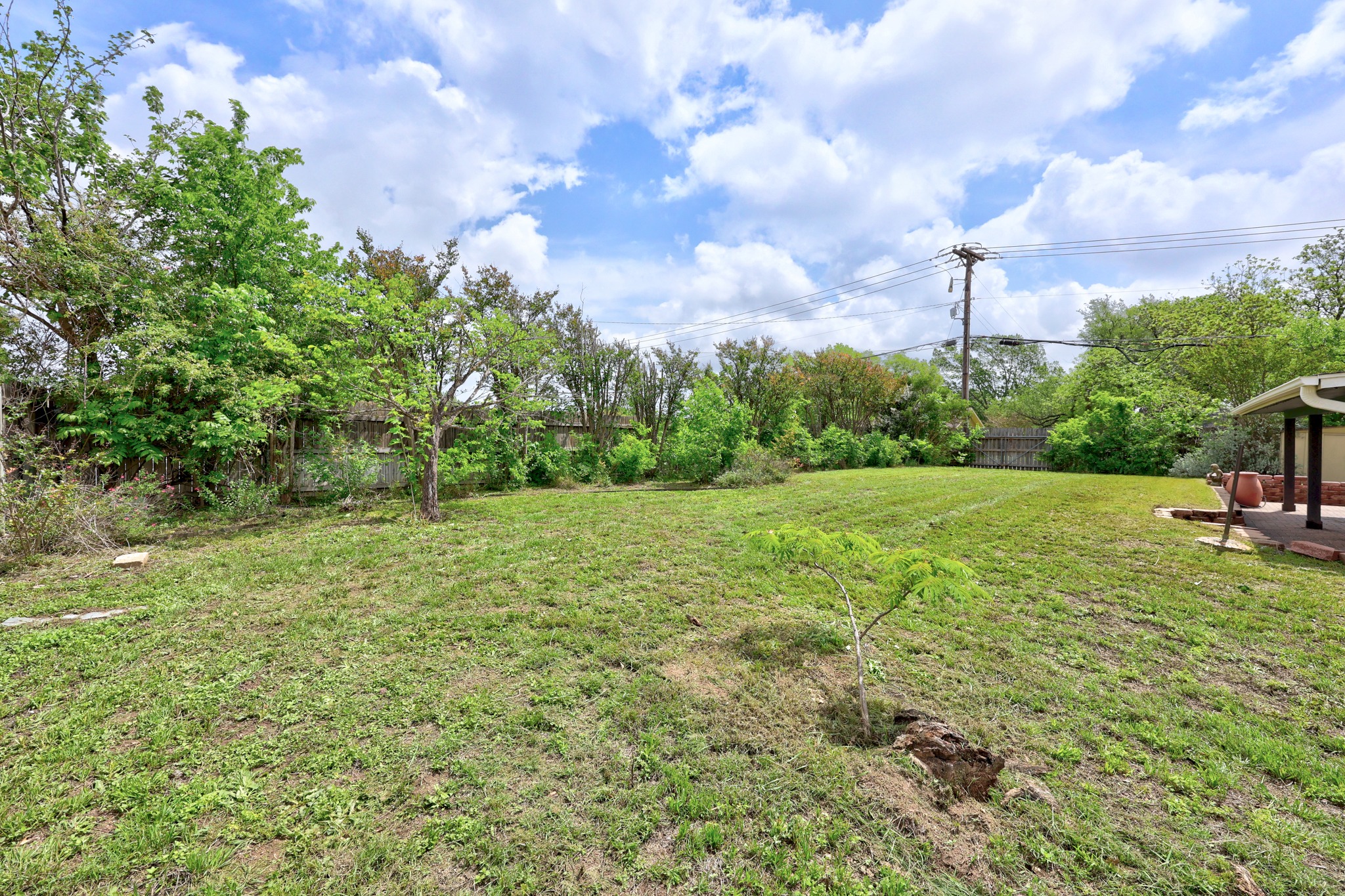 1000 West Noton Street Pflugerville, TX 78660 - Photo 35 of 35 a view of a garden