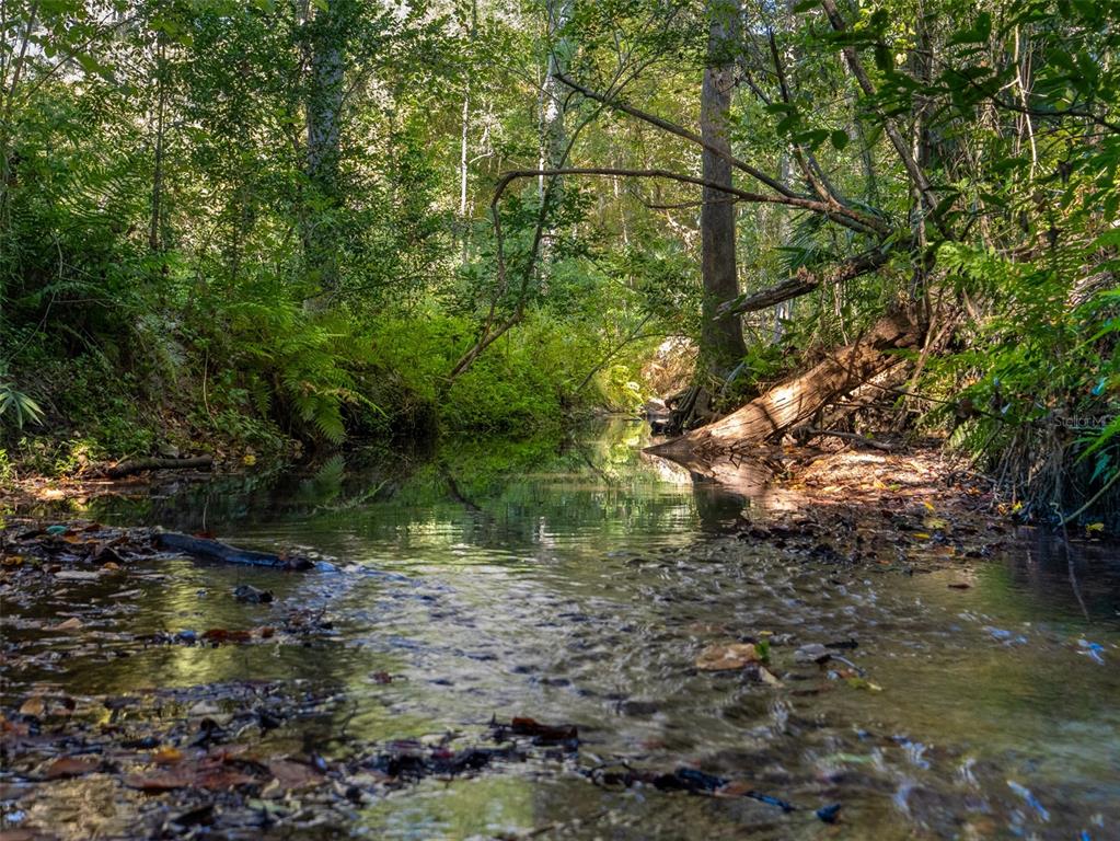 3619 Northwest 38th Street Gainesville, FL 32606 - Photo 34 of 39
