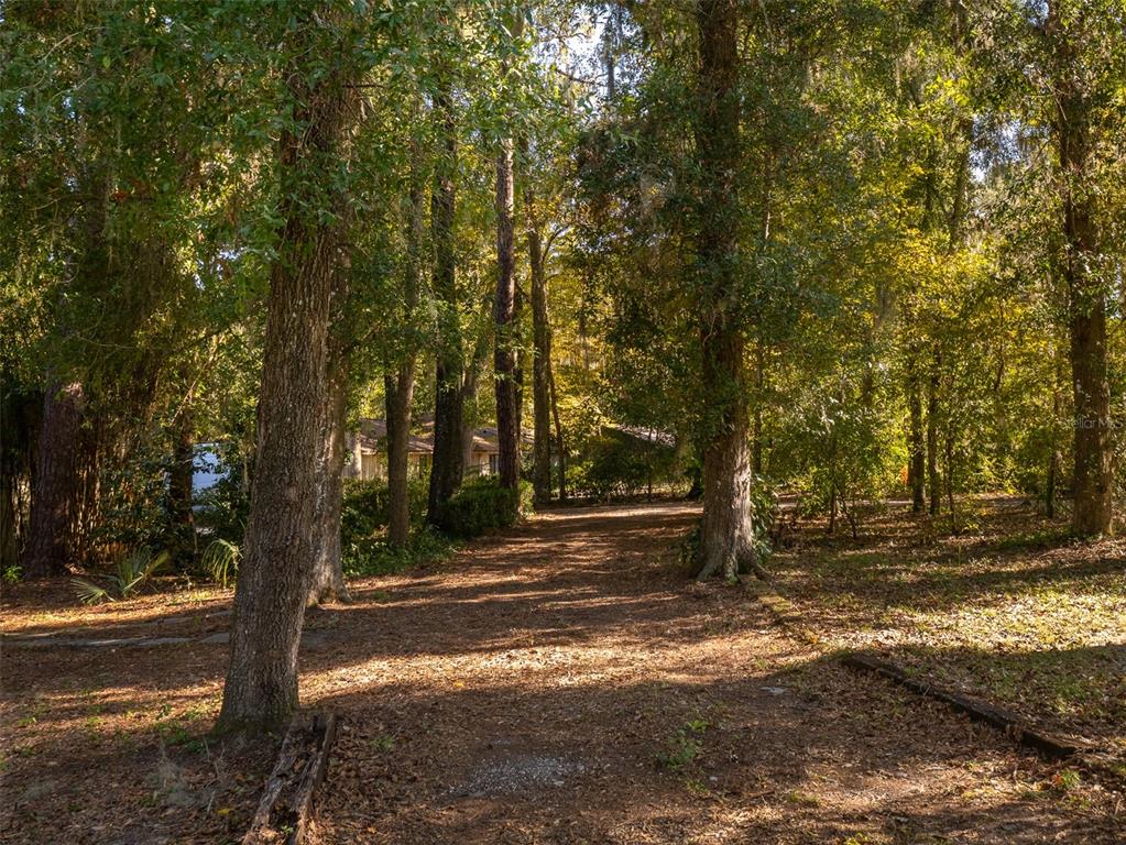 3619 Northwest 38th Street Gainesville, FL 32606 - Photo 37 of 39
