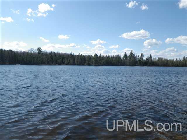 Tbd Grant Lake Road, Unit PARCEL 4 Republic, MI 49879 - Photo 4 of 8