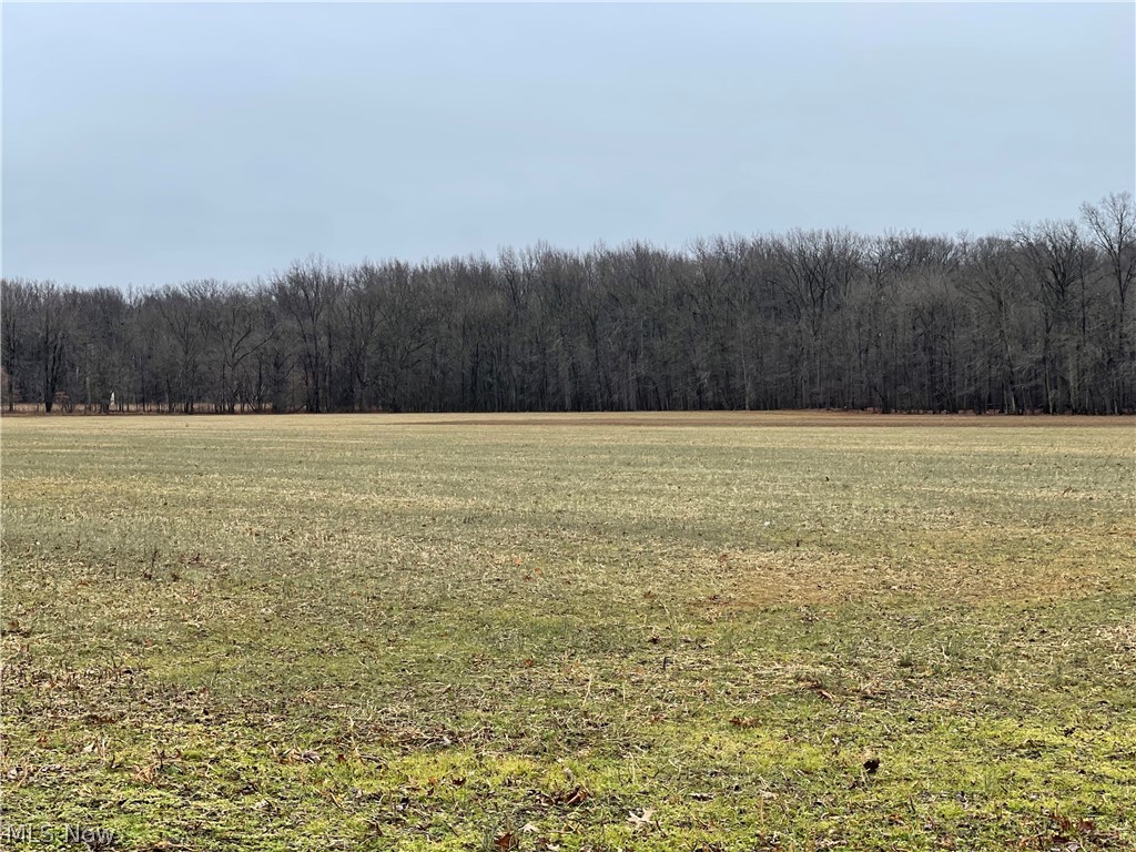 26629 Otten Road North Ridgeville, OH 44039 - Photo 2 of 4 22 acres of flat land with water and all utilities at the street