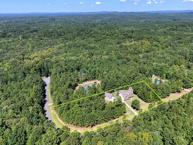 a view of a lush green forest with a house