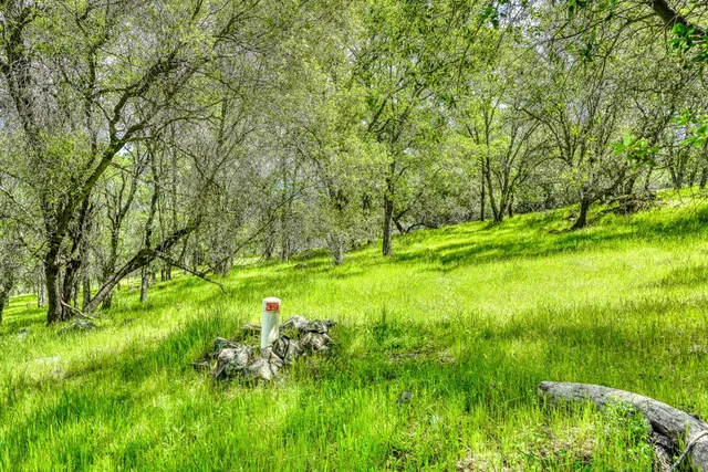 a view of yard with green space