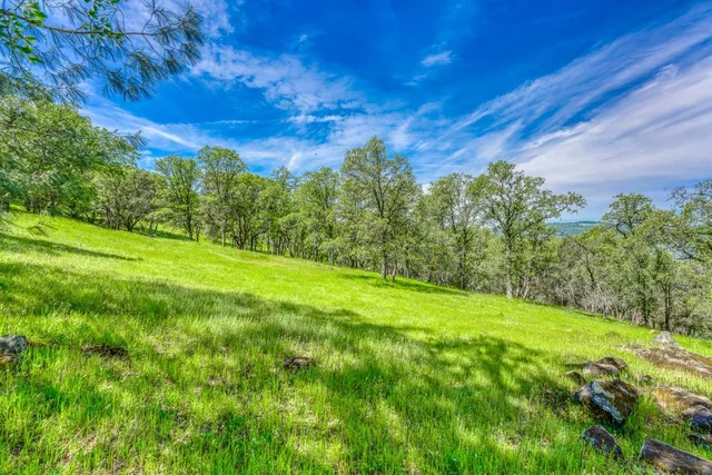 a view of a green field