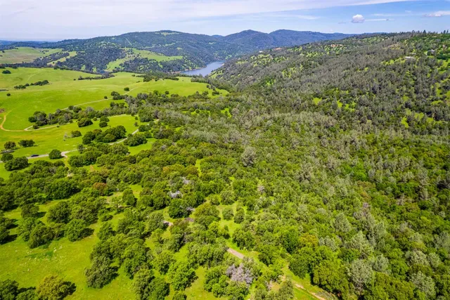 a view of a lush green hillside and a houses