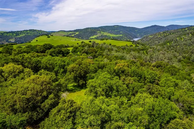 a view of a lush green hillside and houses