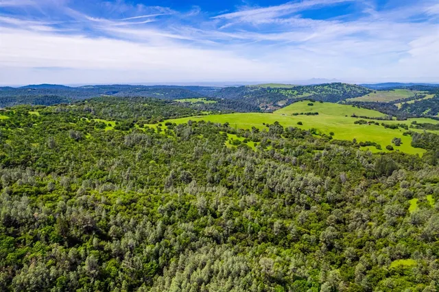 a view of a city with lush green forest