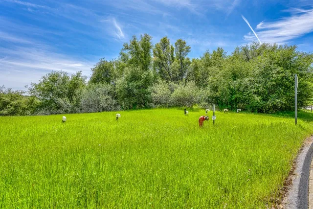 a backyard of a house with lots of green space