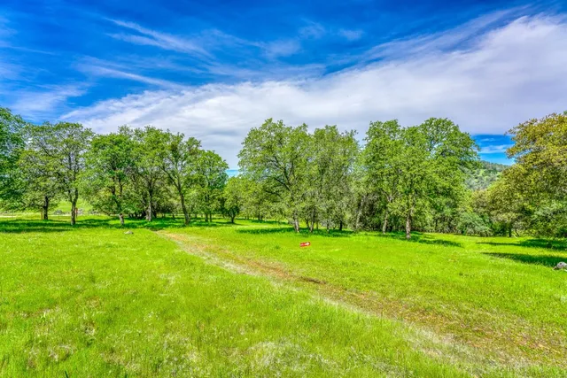 a backyard of a house with lots of green space