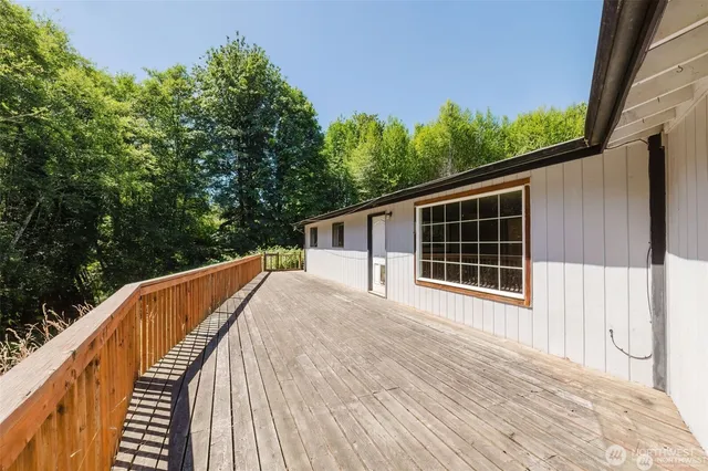 a view of a lake from a forest