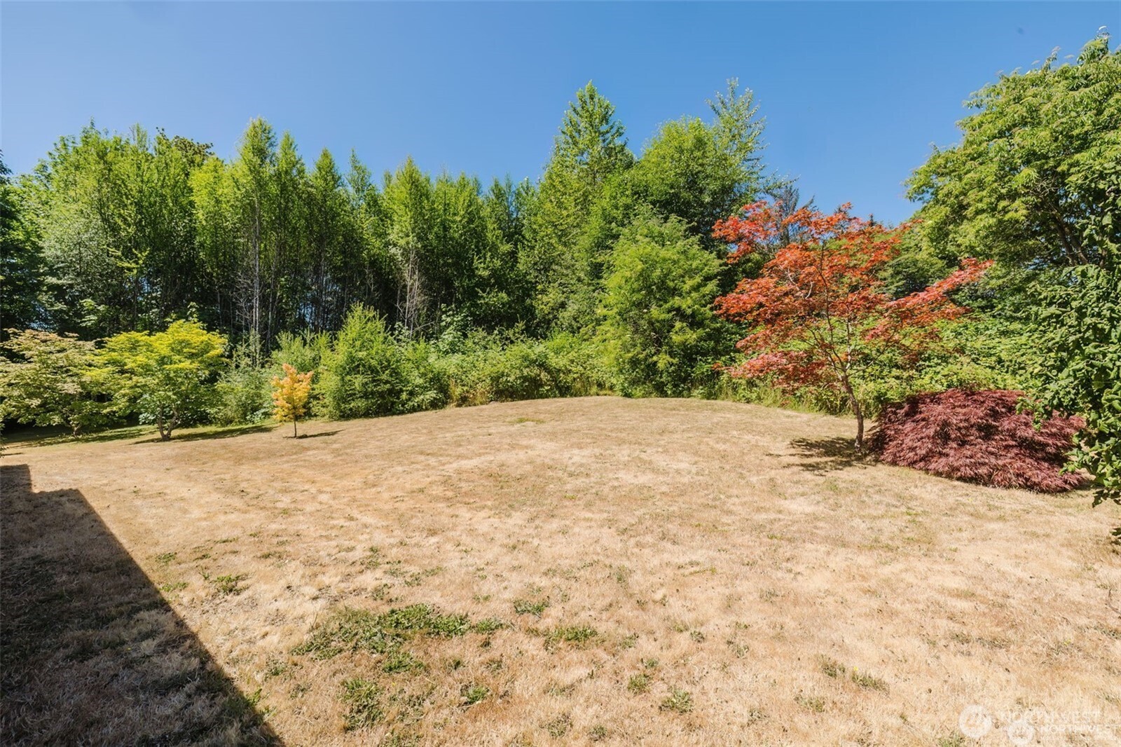 1783 West Shelton Matlock Road Shelton, WA 98584 - Photo 39 of 40 a view of a backyard of a house