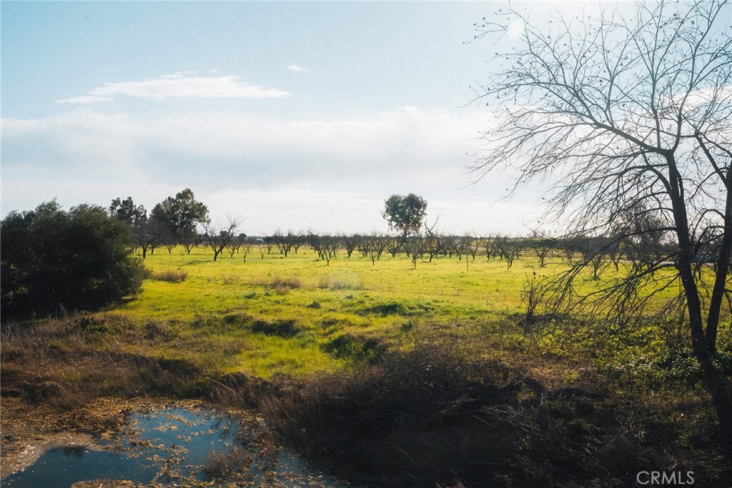 0 Corning Road Corning, CA 96021 - Photo 13 of 33