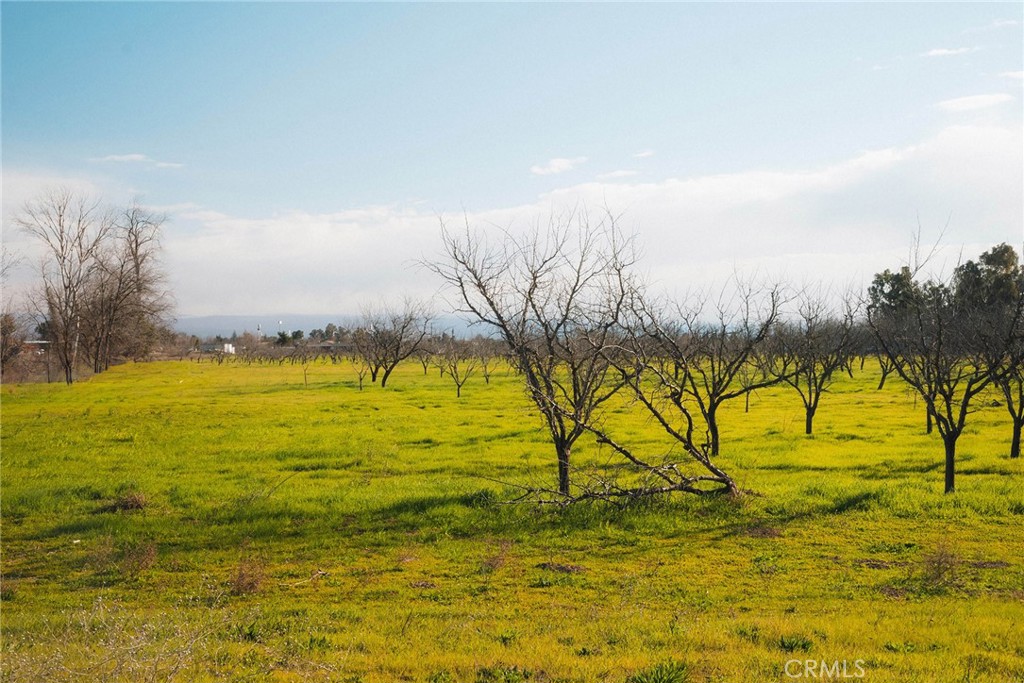 0 Corning Road Corning, CA 96021 - Photo 17 of 33