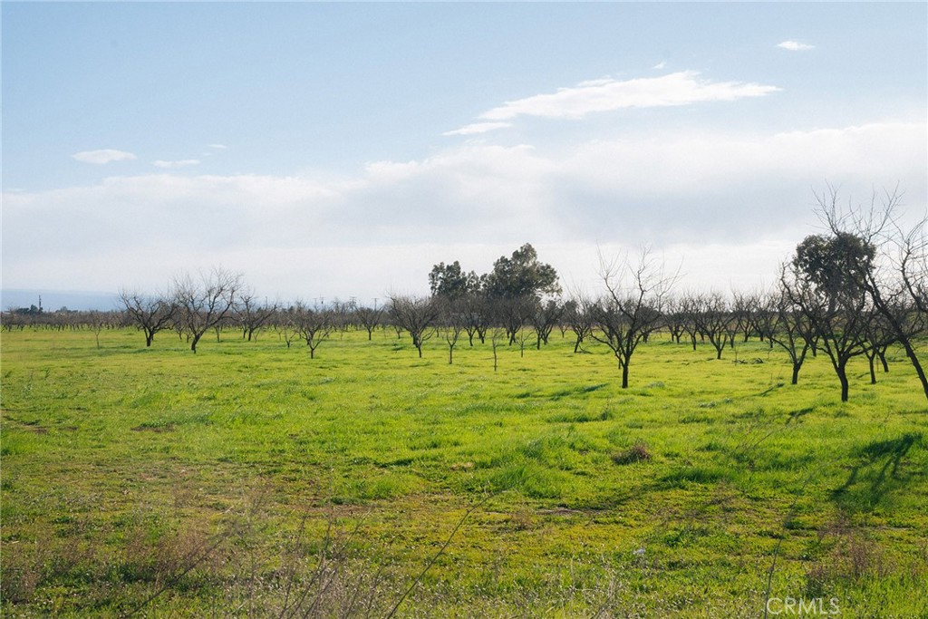 0 Corning Road Corning, CA 96021 - Photo 23 of 33