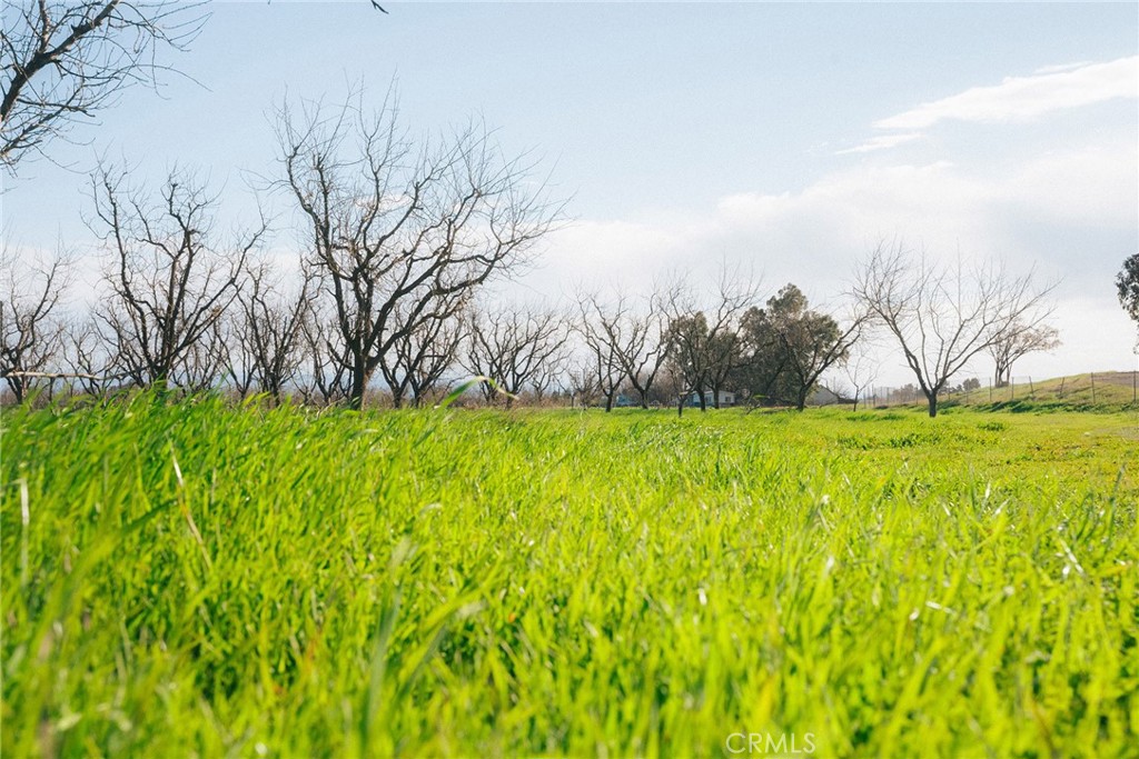 0 Corning Road Corning, CA 96021 - Photo 25 of 33