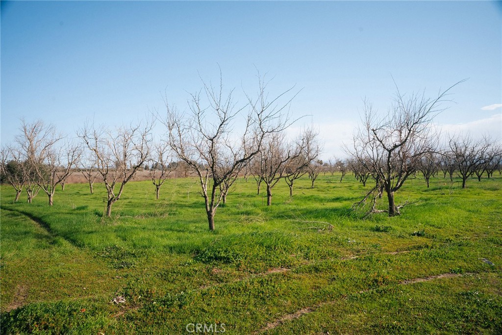 0 Corning Road Corning, CA 96021 - Photo 26 of 33