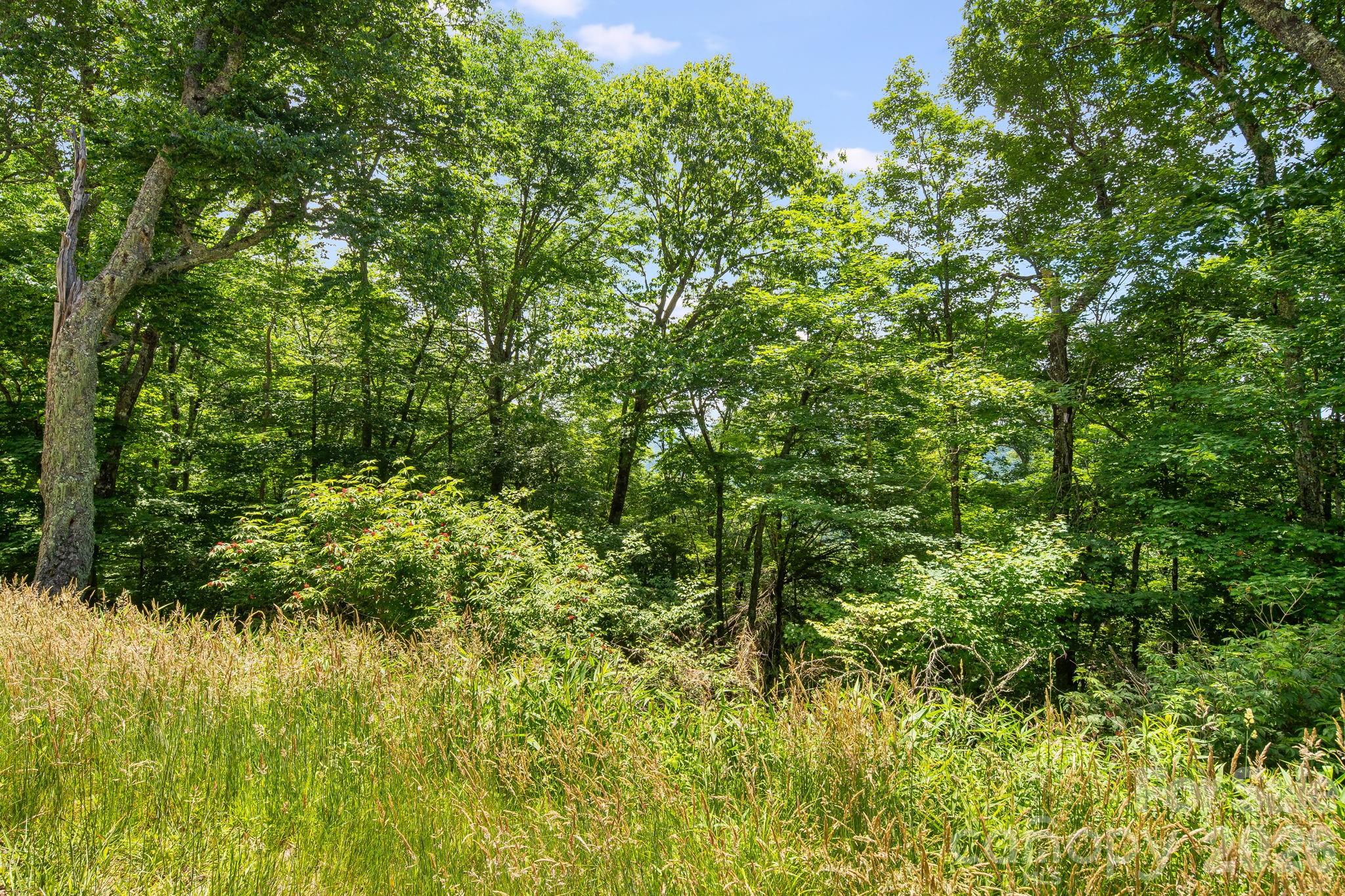 10 Buckeye Road, Unit 10 Mars Hill, NC 28754 - Photo 26 of 26 Gallery Image 26
