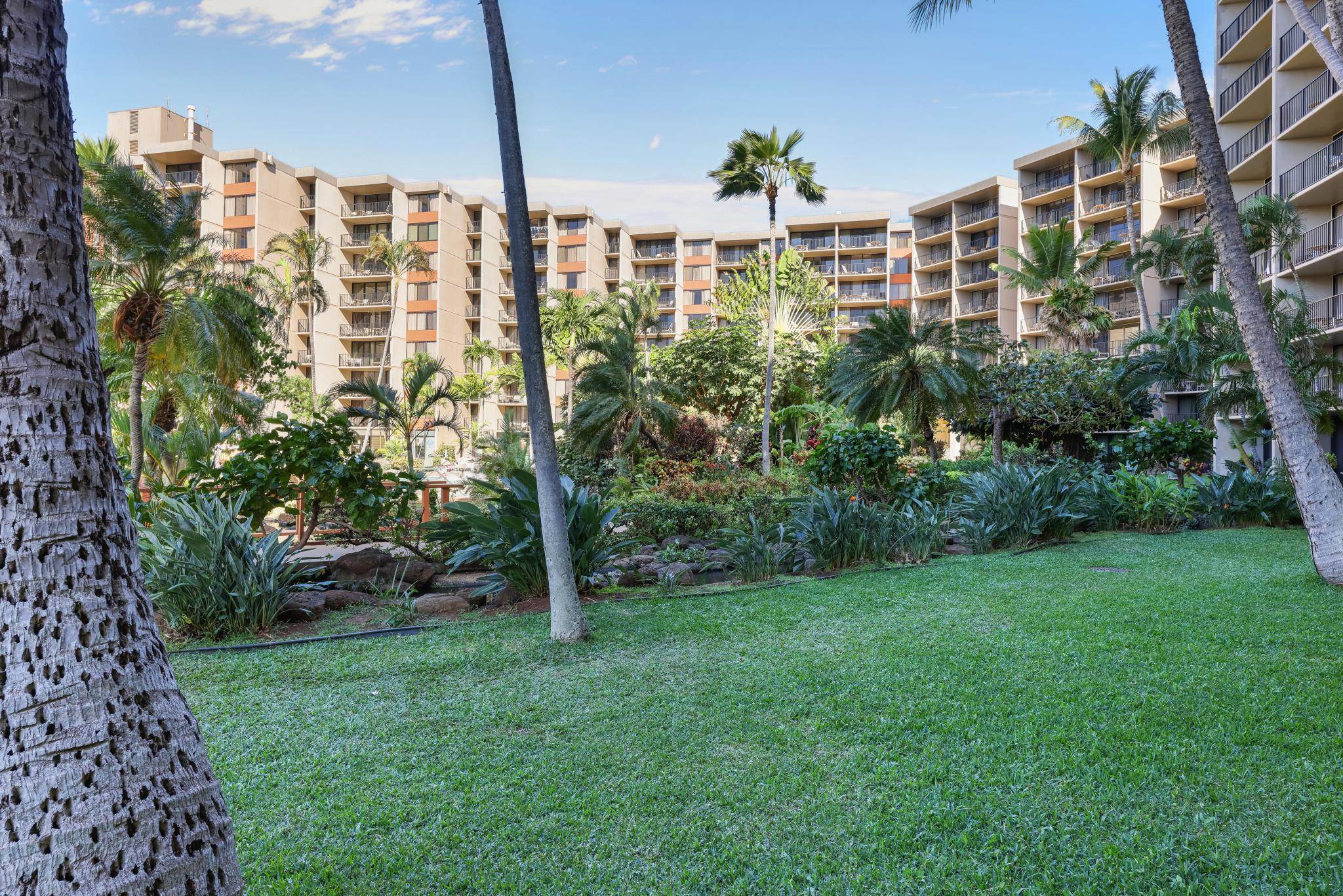 3445 Lower Honoapiilani Road, Unit 151 Lahaina, HI 96761 - Photo 23 of 42 a view of a city with tall buildings