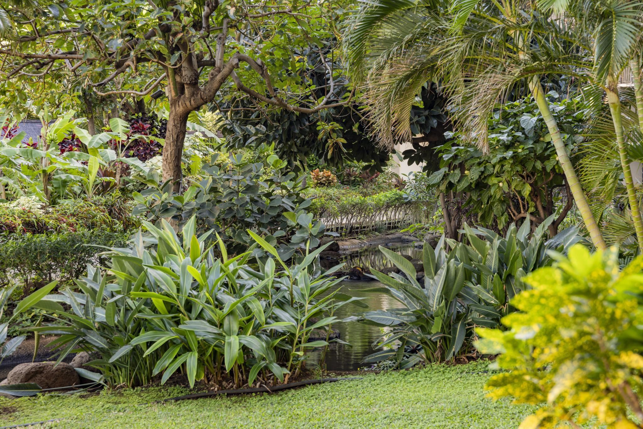 3445 Lower Honoapiilani Road, Unit 151 Lahaina, HI 96761 - Photo 24 of 42 a view of a garden