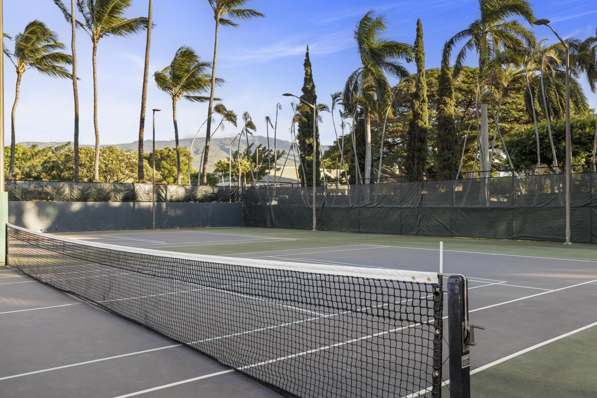 3445 Lower Honoapiilani Road, Unit 151 Lahaina, HI 96761 - Photo 37 of 42 a view of a tennis court