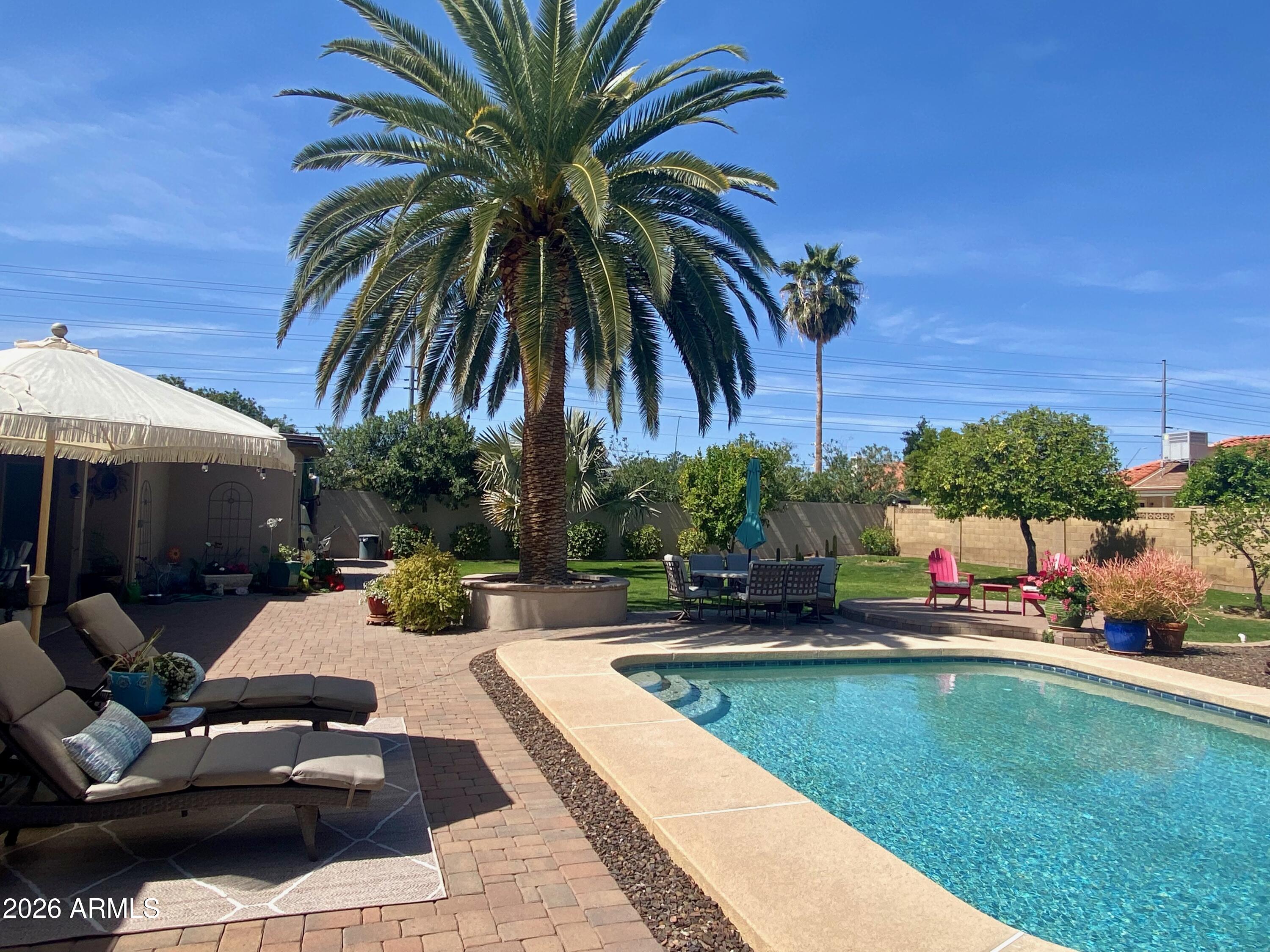 5610 East Justine Road Scottsdale, AZ 85254 - Photo 21 of 28 a view of a backyard with swimming pool