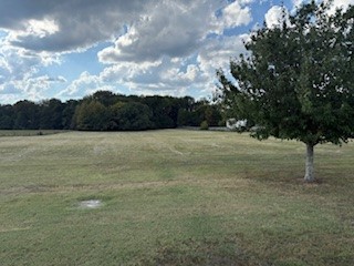 479 Cal Durham Road Bethpage, TN 37022 - Photo 8 of 19 a view of a field with an trees