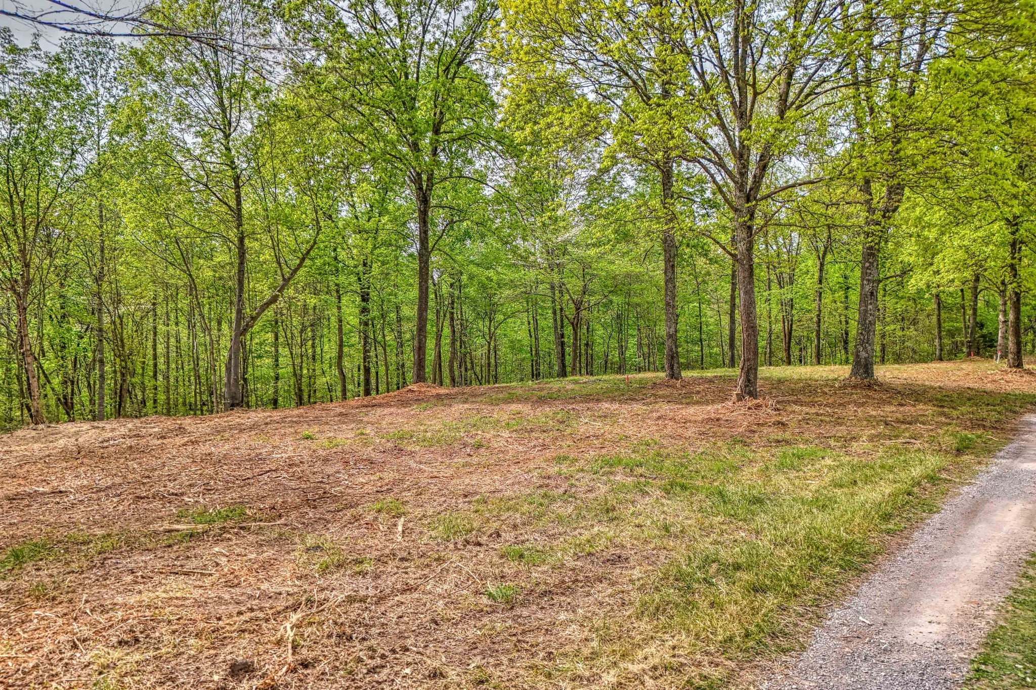 0 R B K Lane Bethpage, TN 37022 - Photo 1 of 20 Gallery Image 1