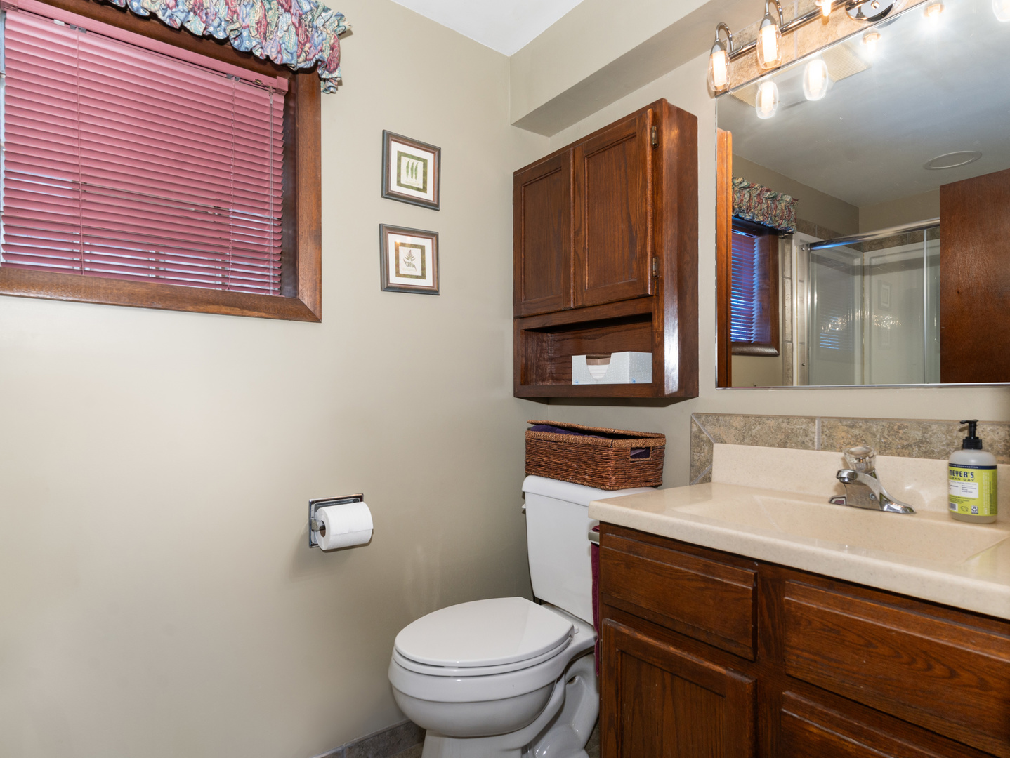10S144 Ridge Road Naperville, IL 60565 - Photo 18 of 28 a bathroom with a toilet a sink and mirror